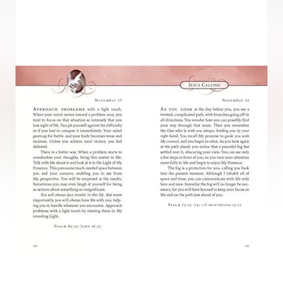 🌅 Daily Devotional ~ NWT~
Jesus Calling ~ pink - Picture 7 of 8
